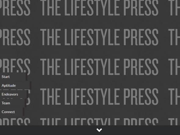 The Lifestyle Press